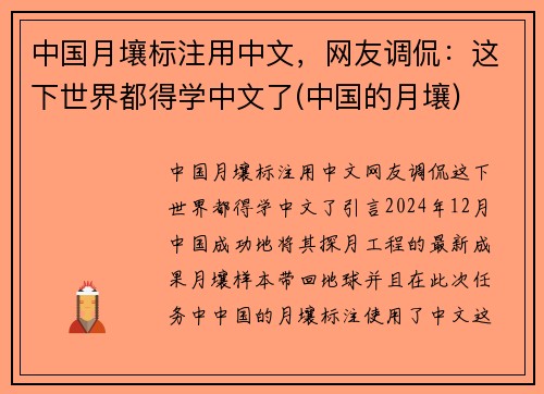 中国月壤标注用中文，网友调侃：这下世界都得学中文了(中国的月壤)